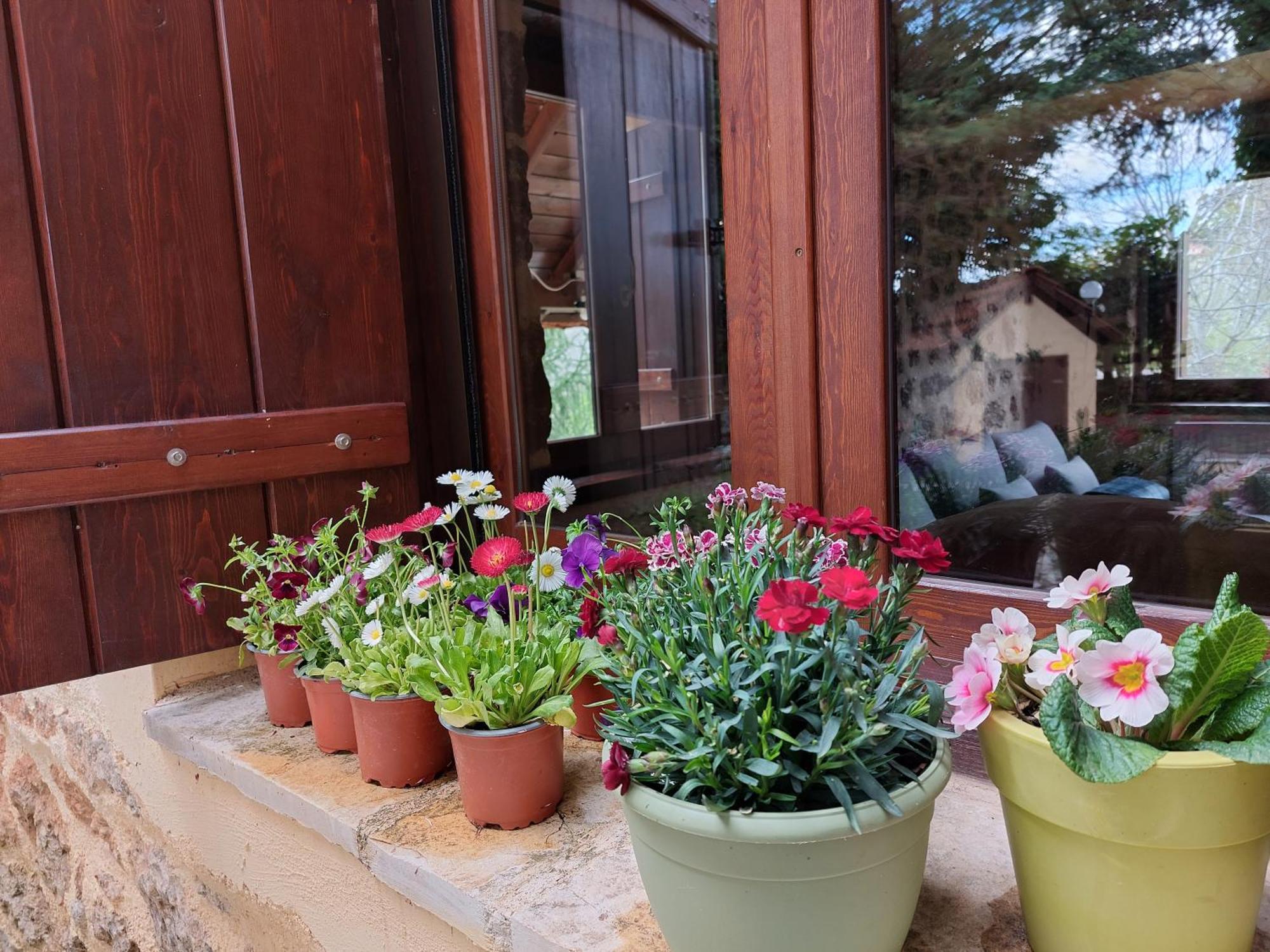 Εν Αρχή - En Arhi Villa Ano Trikala Exteriör bild