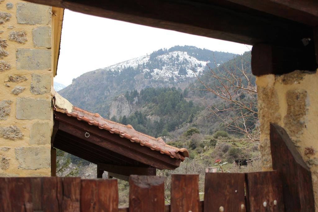 Εν Αρχή - En Arhi Villa Ano Trikala Rum bild