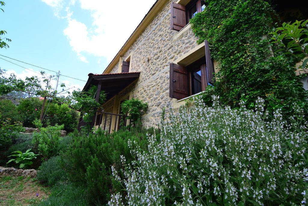 Εν Αρχή - En Arhi Villa Ano Trikala Exteriör bild